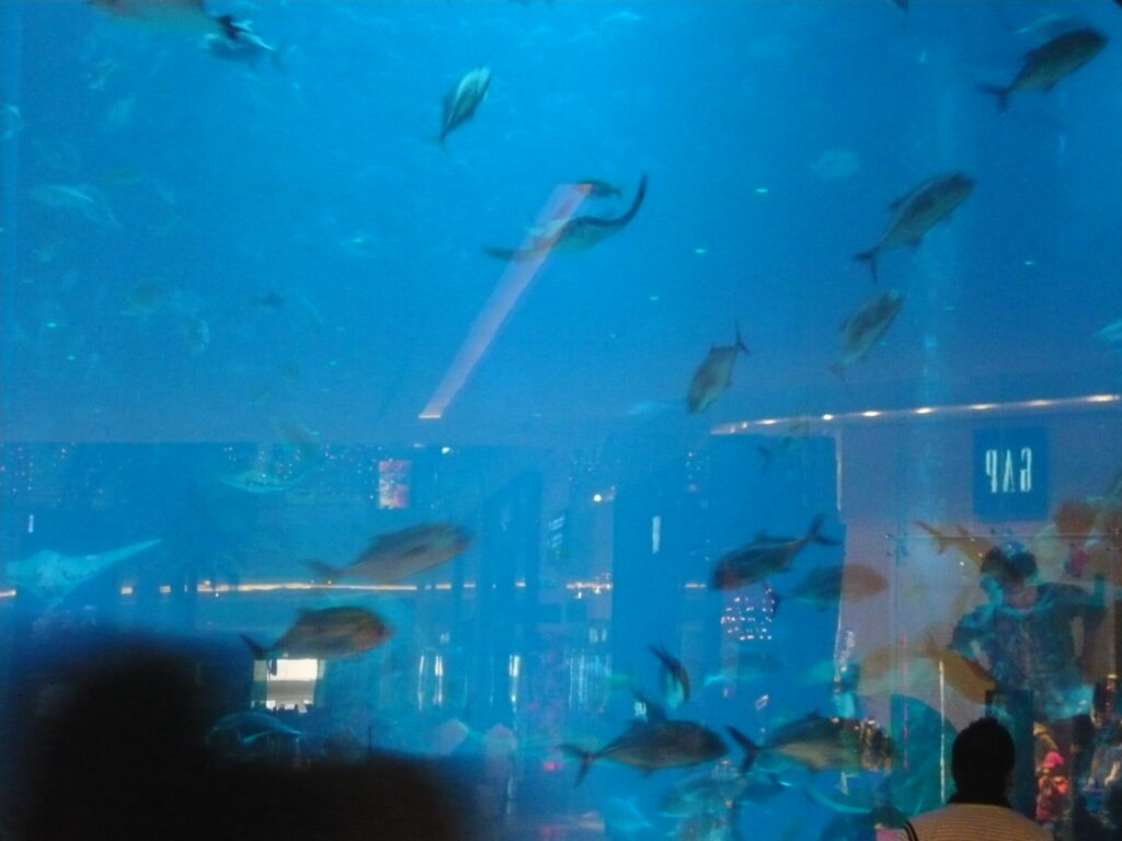 p1010122